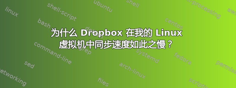 为什么 Dropbox 在我的 Linux 虚拟机中同步速度如此之慢？