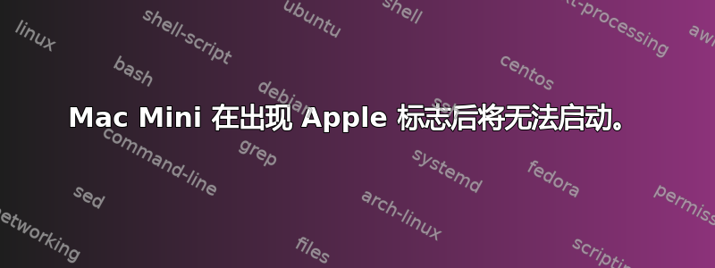 Mac Mini 在出现 Apple 标志后将无法启动。