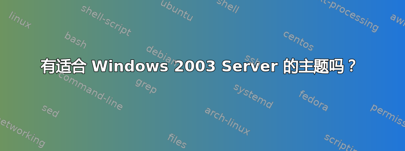 有适合 Windows 2003 Server 的主题吗？