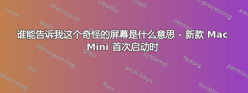 谁能告诉我这个奇怪的屏幕是什么意思 - 新款 Mac Mini 首次启动时