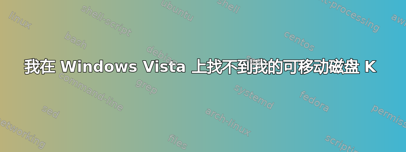 我在 Windows Vista 上找不到我的可移动磁盘 K