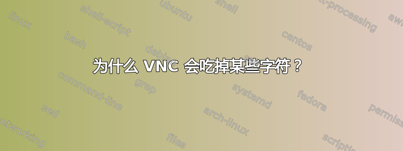 为什么 VNC 会吃掉某些字符？