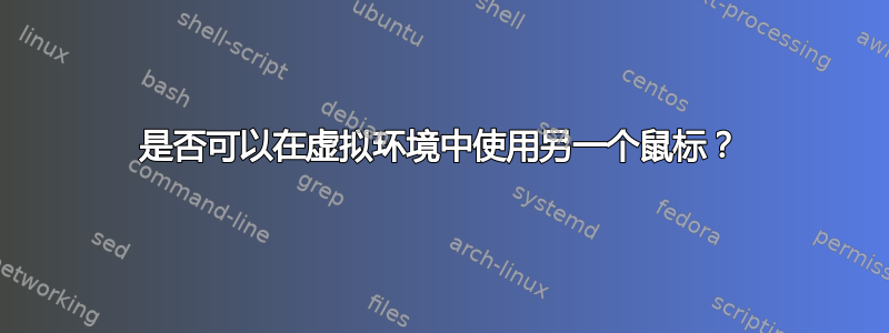 是否可以在虚拟环境中使用另一个鼠标？