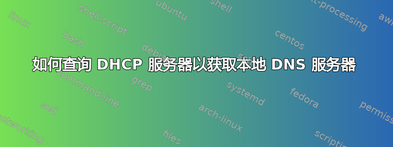 如何查询 DHCP 服务器以获取本地 DNS 服务器