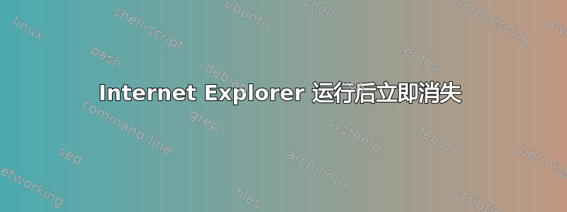 Internet Explorer 运行后立即消失