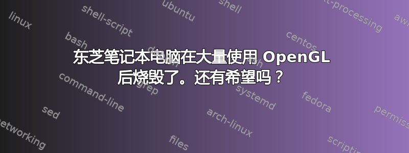 东芝笔记本电脑在大量使用 OpenGL 后烧毁了。还有希望吗？