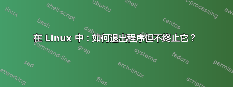 在 Linux 中：如何退出程序但不终止它？