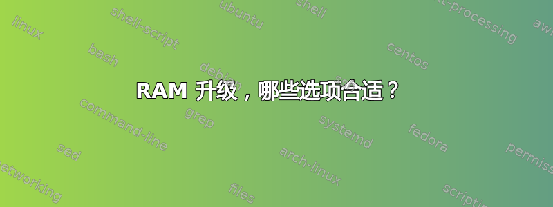 RAM 升级，哪些选项合适？ 