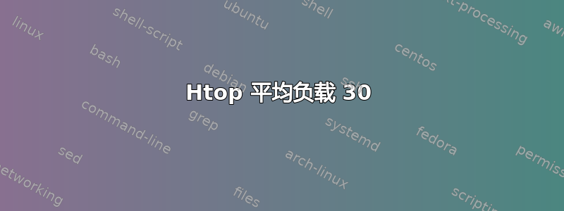 Htop 平均负载 30