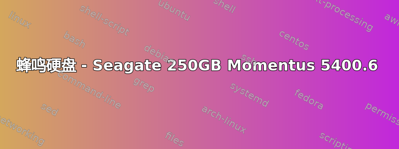 蜂鸣硬盘 - Seagate 250GB Momentus 5400.6