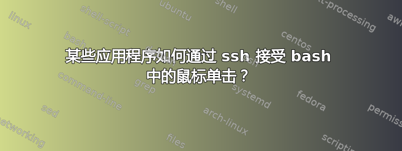 某些应用程序如何通过 ssh 接受 bash 中的鼠标单击？