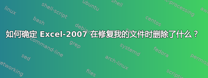 如何确定 Excel-2007 在修复我的文件时删除了什么？