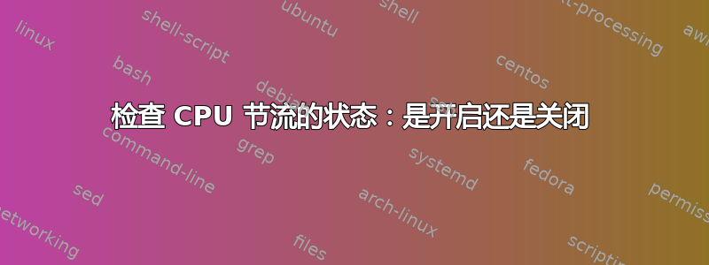 检查 CPU 节流的状态：是开启还是关闭