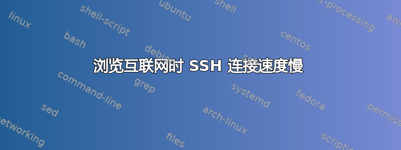 浏览互联网时 SSH 连接速度慢