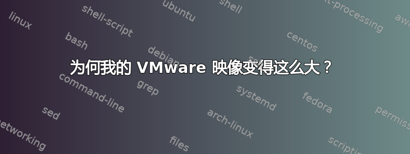 为何我的 VMware 映像变得这么大？