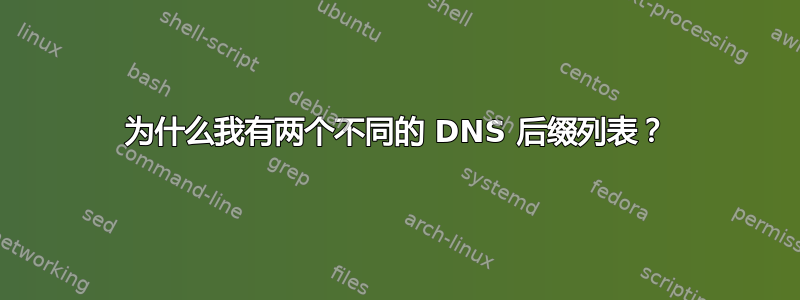 为什么我有两个不同的 DNS 后缀列表？