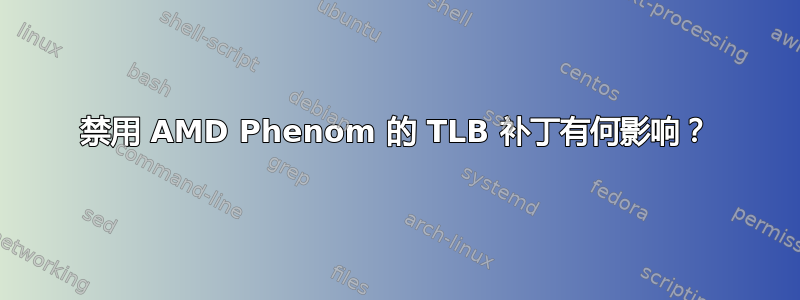 禁用 AMD Phenom 的 TLB 补丁有何影响？