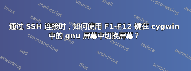 通过 SSH 连接时，如何使用 F1-F12 键在 cygwin 中的 gnu 屏幕中切换屏幕？