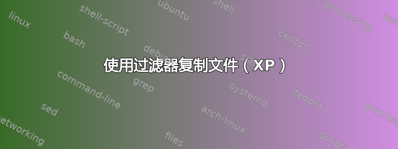 使用过滤器复制文件（XP）