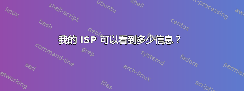 我的 ISP 可以看到多少信息？