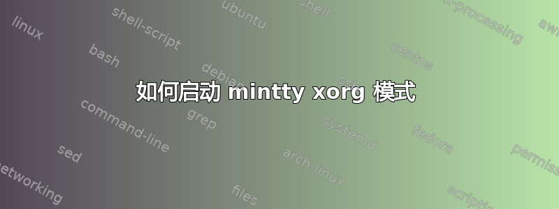 如何启动 mintty xorg 模式