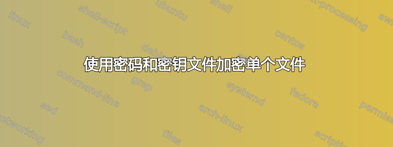 使用密码和密钥文件加密单个文件