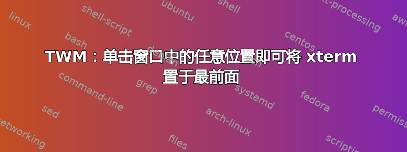 TWM：单击窗口中的任意位置即可将 xterm 置于最前面