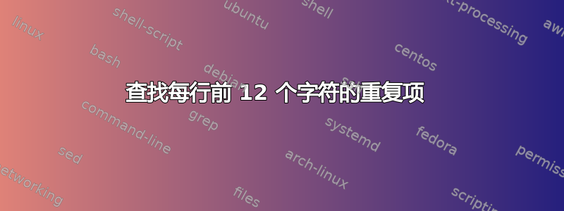 查找每行前 12 个字符的重复项 