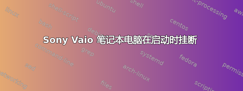 Sony Vaio 笔记本电脑在启动时挂断