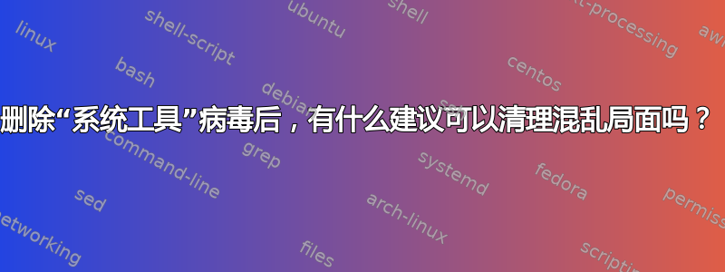 删除“系统工具”病毒后，有什么建议可以清理混乱局面吗？