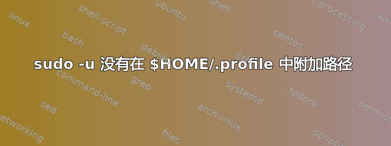 sudo -u 没有在 $HOME/.profile 中附加路径