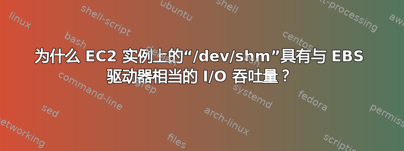 为什么 EC2 实例上的“/dev/shm”具有与 EBS 驱动器相当的 I/O 吞吐量？