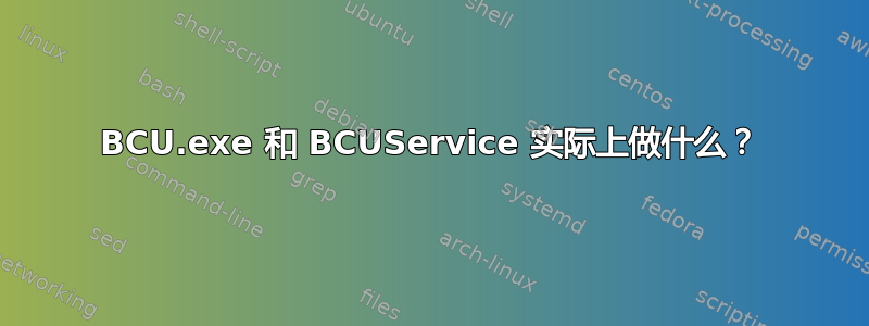 BCU.exe 和 BCUService 实际上做什么？