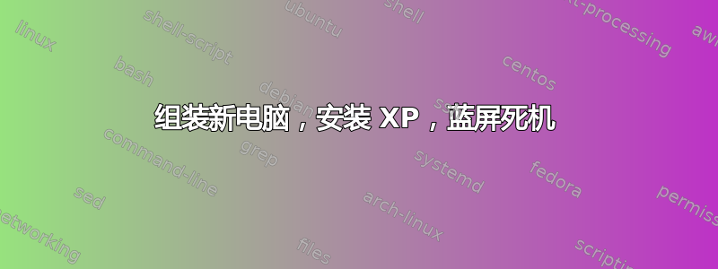 组装新电脑，安装 XP，蓝屏死机