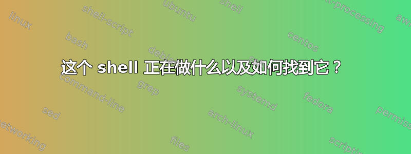 这个 shell 正在做什么以及如何找到它？