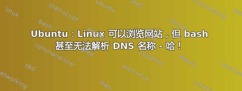 Ubuntu：Linux 可以浏览网站，但 bash 甚至无法解析 DNS 名称 - 哈！