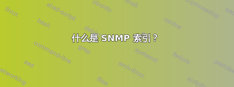 什么是 SNMP 索引？