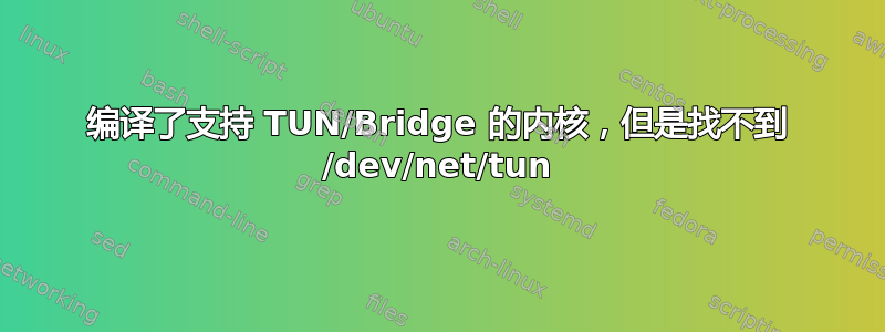 编译了支持 TUN/Bridge 的内核，但是找不到 /dev/net/tun