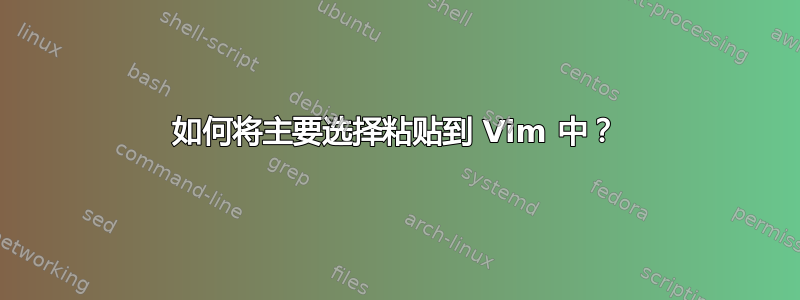 如何将主要选择粘贴到 Vim 中？