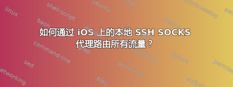 如何通过 iOS 上的本地 SSH SOCKS 代理路由所有流量？