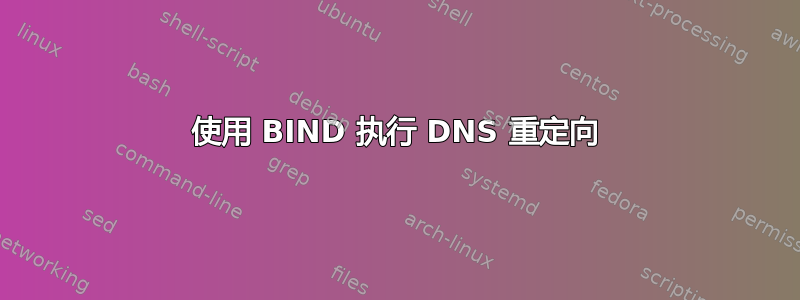 使用 BIND 执行 DNS 重定向