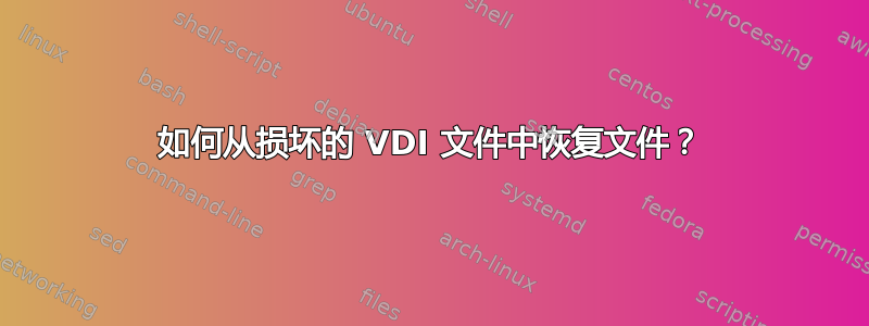 如何从损坏的 VDI 文件中恢复文件？