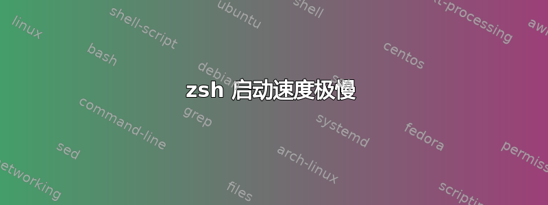 zsh 启动速度极慢