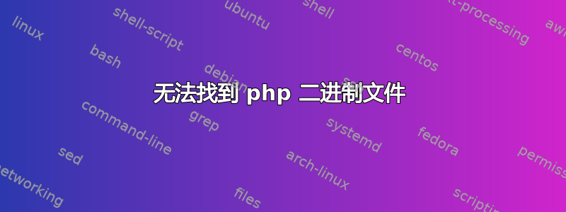 无法找到 php 二进制文件