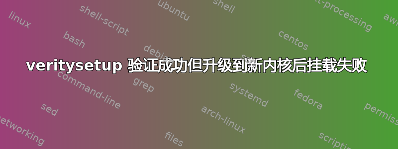 veritysetup 验证成功但升级到新内核后挂载失败