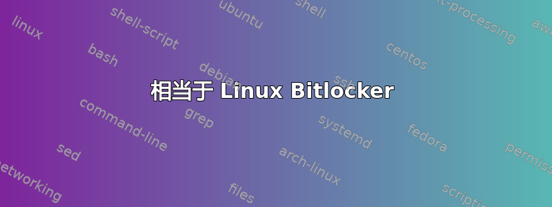 相当于 Linux Bitlocker