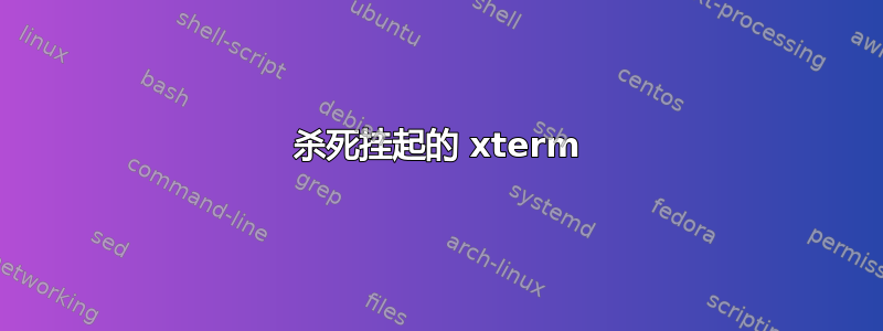 杀死挂起的 xterm