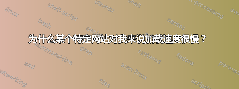 为什么某个特定网站对我来说加载速度很慢？