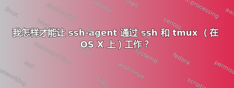 我怎样才能让 ssh-agent 通过 ssh 和 tmux （在 OS X 上）工作？