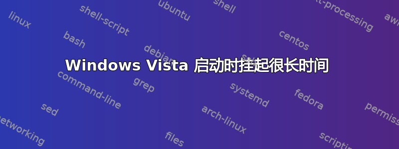 Windows Vista 启动时挂起很长时间